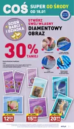 Gazetka promocyjna Aldi - Aldi ma to COŚ - Gazetka - ważna od 21.01 do 21.01.2023 - strona 7 - produkty: Klej, Obraz