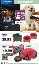 Gazetka promocyjna Lidl - GAZETKA - Gazetka - ważna od 12.08 do 12.08.2023 - strona 14 - produkty: Stojak