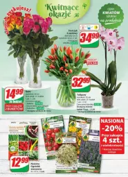 Gazetka promocyjna Dino - Gazetka - ważna od 13.02 do 13.02.2024 - strona 54 - produkty: Sok, Tulipan, Bukiet
