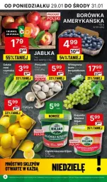 Gazetka promocyjna Delikatesy Centrum - Gazetka - ważna od 04.02 do 04.02.2024 - strona 14 - produkty: Borówka, Jabłka