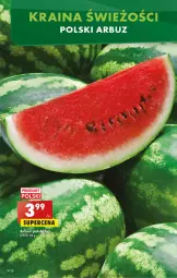 Gazetka promocyjna Biedronka - W tym tygodniu - Gazetka - ważna od 03.09 do 03.09.2022 - strona 38 - produkty: Arbuz