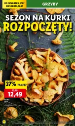 Gazetka promocyjna Lidl - GAZETKA - Gazetka - ważna od 19.07 do 19.07.2025 - strona 22 - produkty: Grzyby
