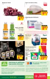 Gazetka promocyjna Stokrotka - Supermarket - Gazetka - ważna od 01.09 do 01.09.2021 - strona 20 - produkty: Piwa, Piwo, Płyn do prania, Kurczak, Sok, Gra, Telefon, Proszek do prania, O nas, Aquaphor, Sheba, Winogrona, Ariel, Wino, Wagi, Harnaś, Napój