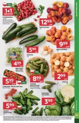 Gazetka promocyjna Stokrotka - Market - Gazetka - ważna od 12.06 do 12.06.2024 - strona 9 - produkty: Warzywa, Por, Sałat, Brzoskwinie, Owoce, Grunt, Grill, Pomidory, Rzodkiewka, Mięso, Nektar