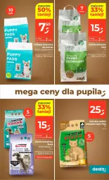 Gazetka promocyjna Dealz - NOWA GAZETKA - Gazetka - ważna od 15.04 do 15.04.2026 - strona 43 - produkty: Super Pinio, Podkład, Fa