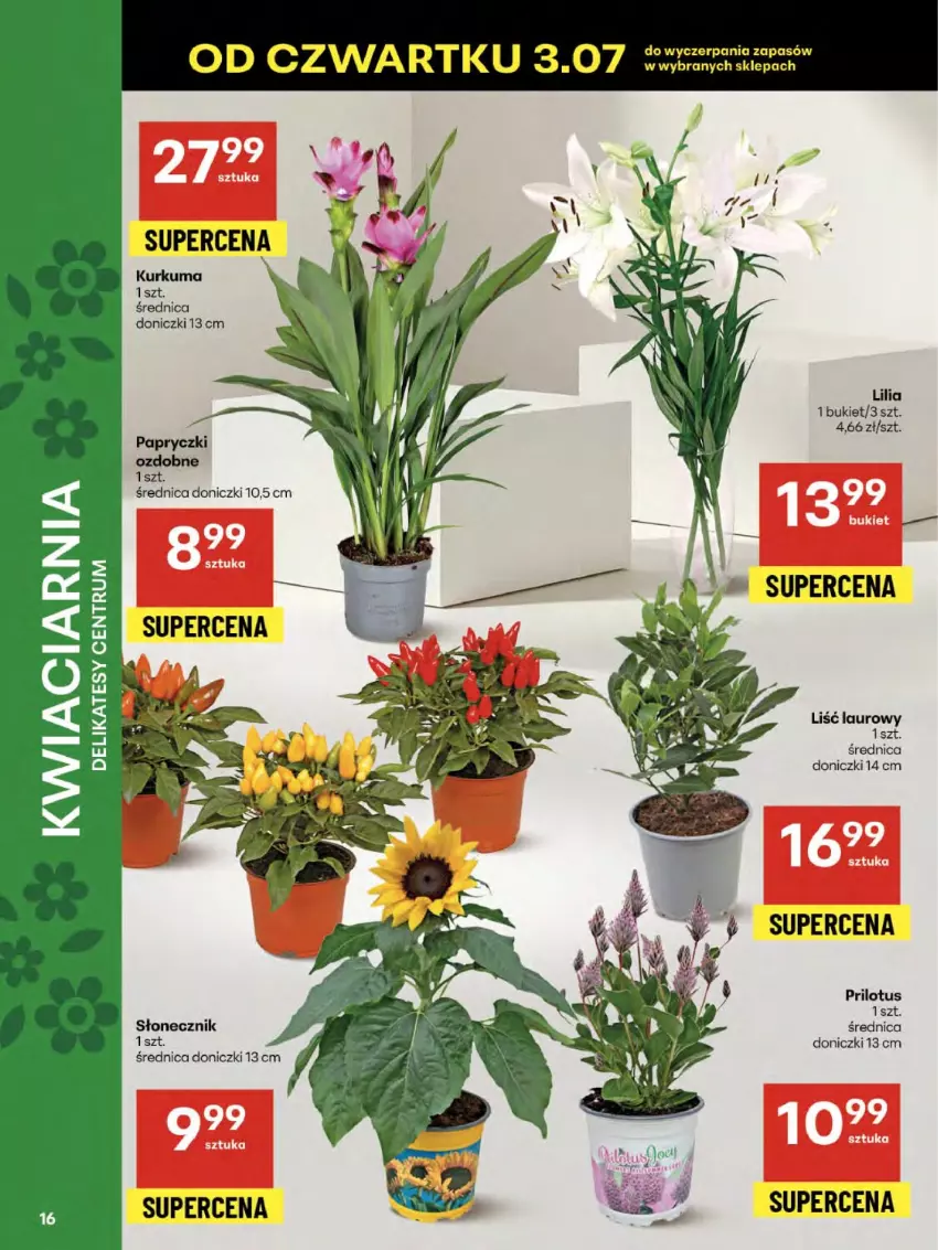 Gazetka promocyjna Delikatesy Centrum - Franczyza DC27 Czwartek - ważna 03.07 do 09.07.2025 - strona 16 - produkty: Bukiet, Kurkuma, Laur