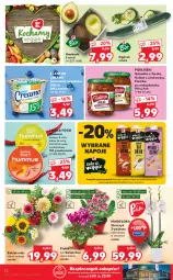 Gazetka promocyjna Kaufland - OFERTA TYGODNIA - Gazetka - ważna od 13.10 do 13.10.2021 - strona 32 - produkty: Piec, Hummus, Mus, Ogórek, Kalanchoe, Napoje, Tera, Storczyk, Limonka, Bukiet, Pudliszki, Flora, Waga, Mango, Kokos, Fa