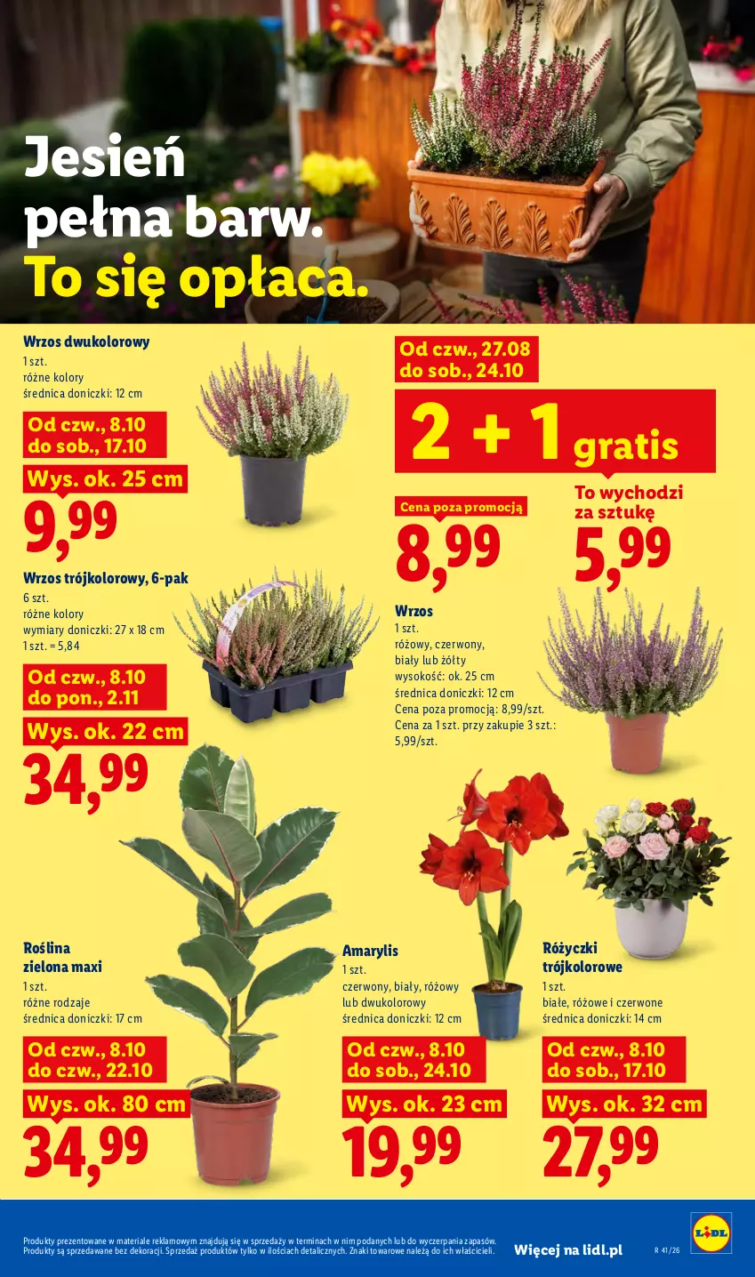 Gazetka promocyjna Lidl - Gazetka - ważna 08.10 do 10.10.2026 - strona 85 - produkty: Amarylis, Gra, Sok