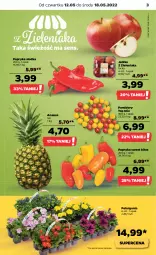 Gazetka promocyjna Netto - Gazetka spożywcza 12.05-18.05 - Gazetka - ważna od 18.05 do 18.05.2022 - strona 3 - produkty: Top, Papryka słodka, Papryka, Ananas, Pomidory