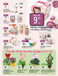 Gazetka promocyjna Bi1 - Dzień Kobiet - Gazetka - ważna od 08.03 do 08.03.2022 - strona 3 - produkty: Ser, Cyklamen, Gerber, Chia, Kalanchoe, Filiżanka, Kubek, Kieliszek