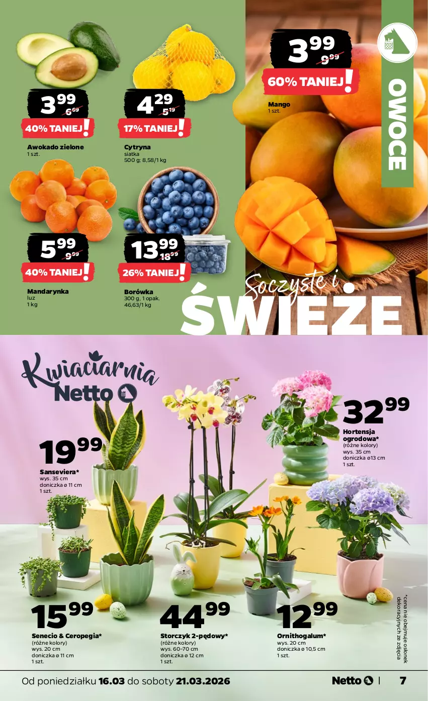 Gazetka promocyjna Netto - Od Poniedziałku - ważna 16.03 do 21.03.2026 - strona 7 - produkty: Borówka, Mango, Owoce, Siatka, Storczyk