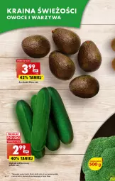 Gazetka promocyjna Biedronka - Gazetka - ważna od 22.03 do 22.03.2023 - strona 16 - produkty: Ogórek, SEKO