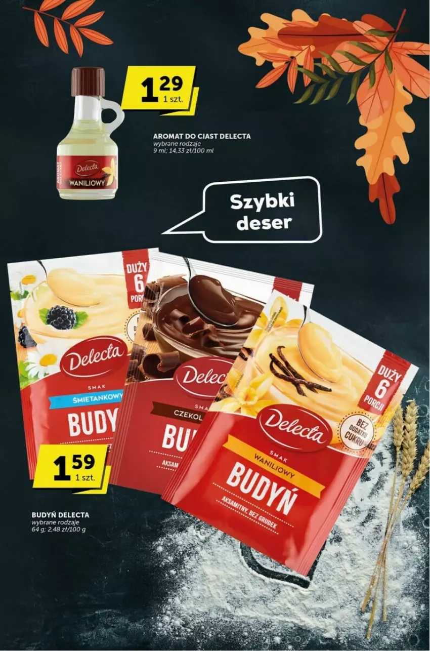 Gazetka promocyjna Selgros - ważna 05.10 do 17.10.2023 - strona 18 - produkty: Budyń, Delecta