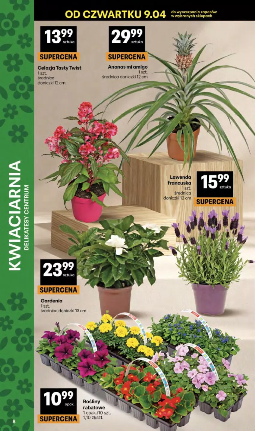 Gazetka promocyjna Delikatesy Centrum - Franczyza DC15 Czwartek - ważna 09.04 do 15.04.2026 - strona 8 - produkty: Ananas