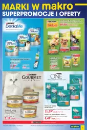 Gazetka promocyjna Makro - [Oferta specjalna] Marki w MAKRO - Gazetka - ważna od 18.10 do 18.10.2021 - strona 5 - produkty: Pur, Friskies, Purina, Gourmet Gold, Sucha karma