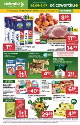 Gazetka promocyjna Stokrotka - Market - Gazetka - ważna od 02.07 do 02.07.2025 - strona 1 - produkty: Piwo, Warzywa, JBL, Gra, Praliny, Lindor, Lody, Dr. Oetker, Lipton, Morliny, Brzoskwinie, Bukiet, Owoce, Herbata, Kiełbasa, Mięso, Lindt, Mleko, Kiełbasa śląska