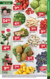 Gazetka promocyjna Stokrotka - Market - Gazetka - ważna od 02.07 do 02.07.2025 - strona 7 - produkty: Warzywa, Sałata lodowa, Róża, Cytryny, Ananas, Kalanchoe, Sałat, Winogrona, Owoce, Wino, Pomidory, Mięso, Szpinak