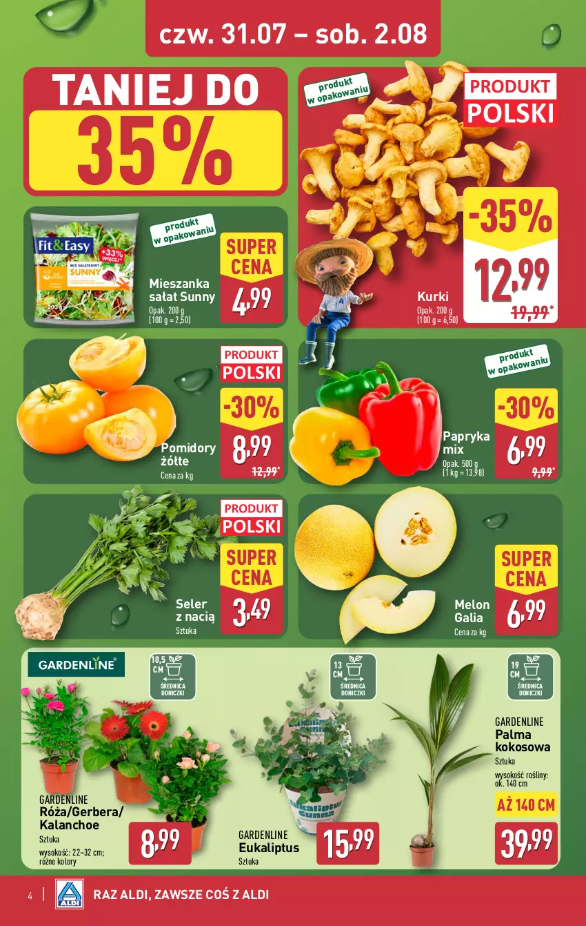 Gazetka promocyjna Aldi - Oferta weekendowa - ważna 31.07 do 02.08.2025 - strona 4 - produkty: Gerber, Kalanchoe, Kokos, Melon, Mieszanka sałat, Palma, Papryka, Pomidory, Róża, Sałat, Sok