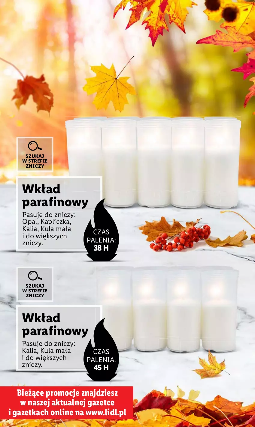 Gazetka promocyjna Lidl - KATALOG ZNICZE - ważna 02.10 do 31.10.2023 - strona 14 - produkty: Znicz