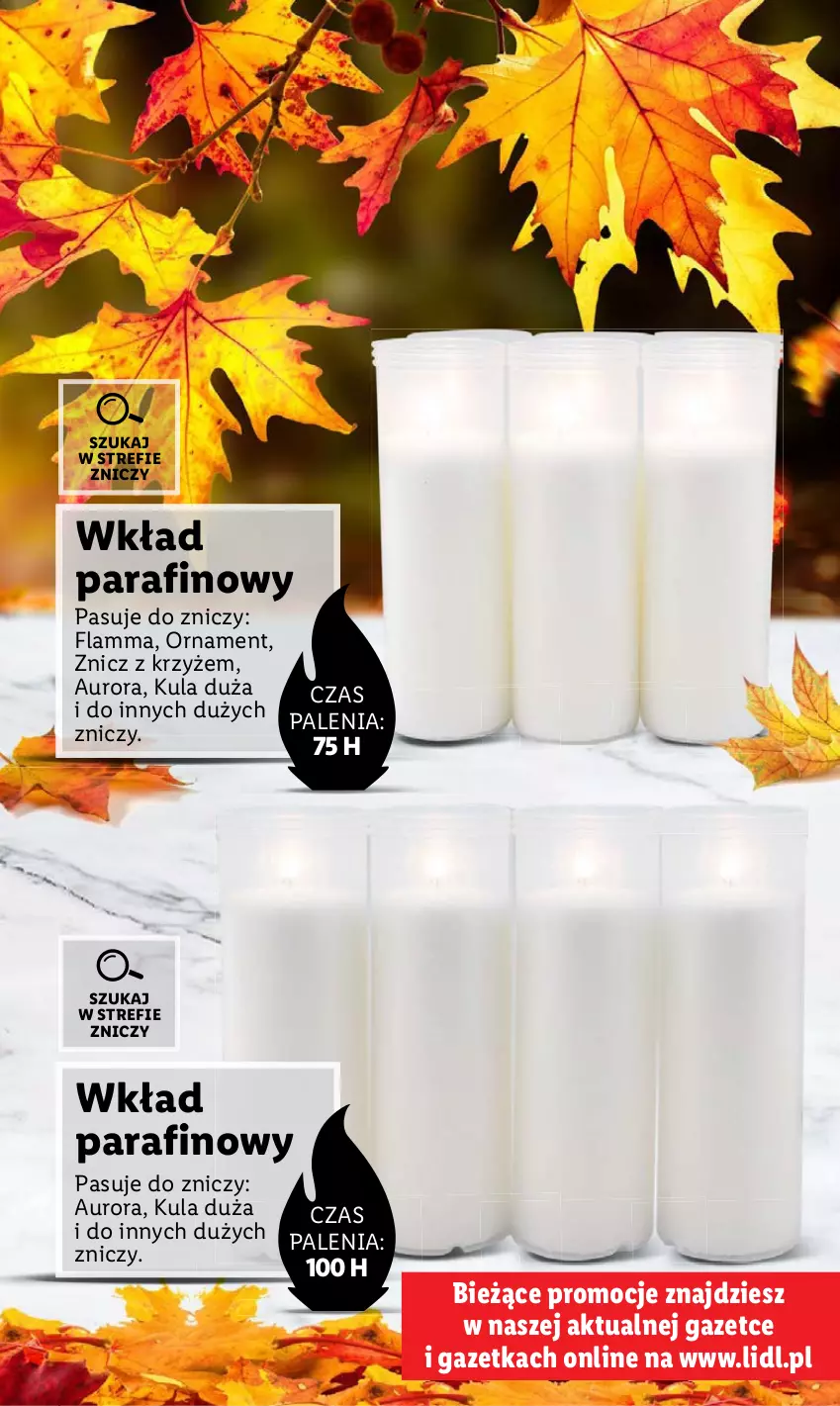 Gazetka promocyjna Lidl - KATALOG ZNICZE - ważna 02.10 do 31.10.2023 - strona 15 - produkty: Znicz