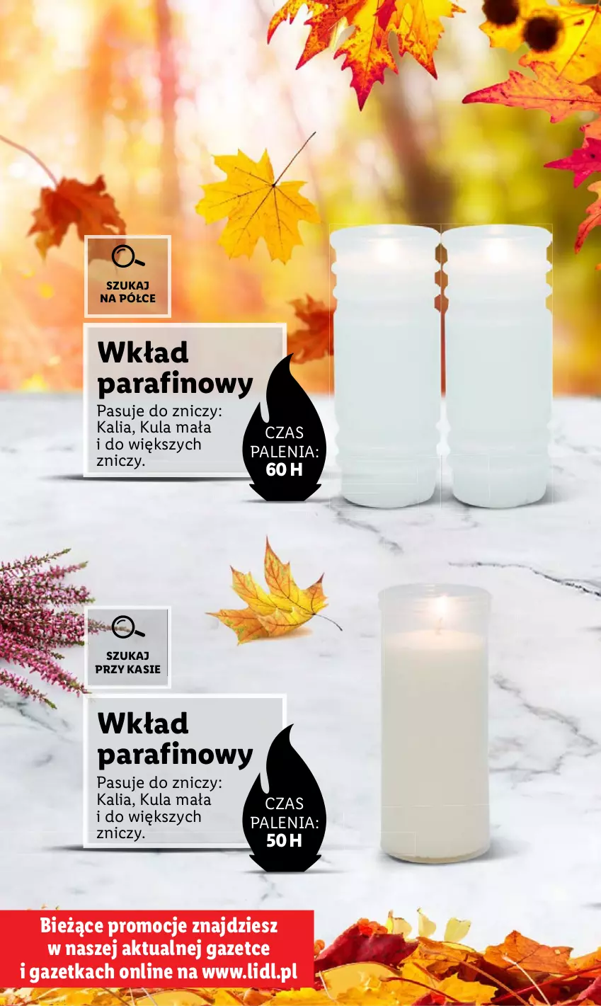 Gazetka promocyjna Lidl - KATALOG ZNICZE - ważna 02.10 do 31.10.2023 - strona 16 - produkty: Znicz