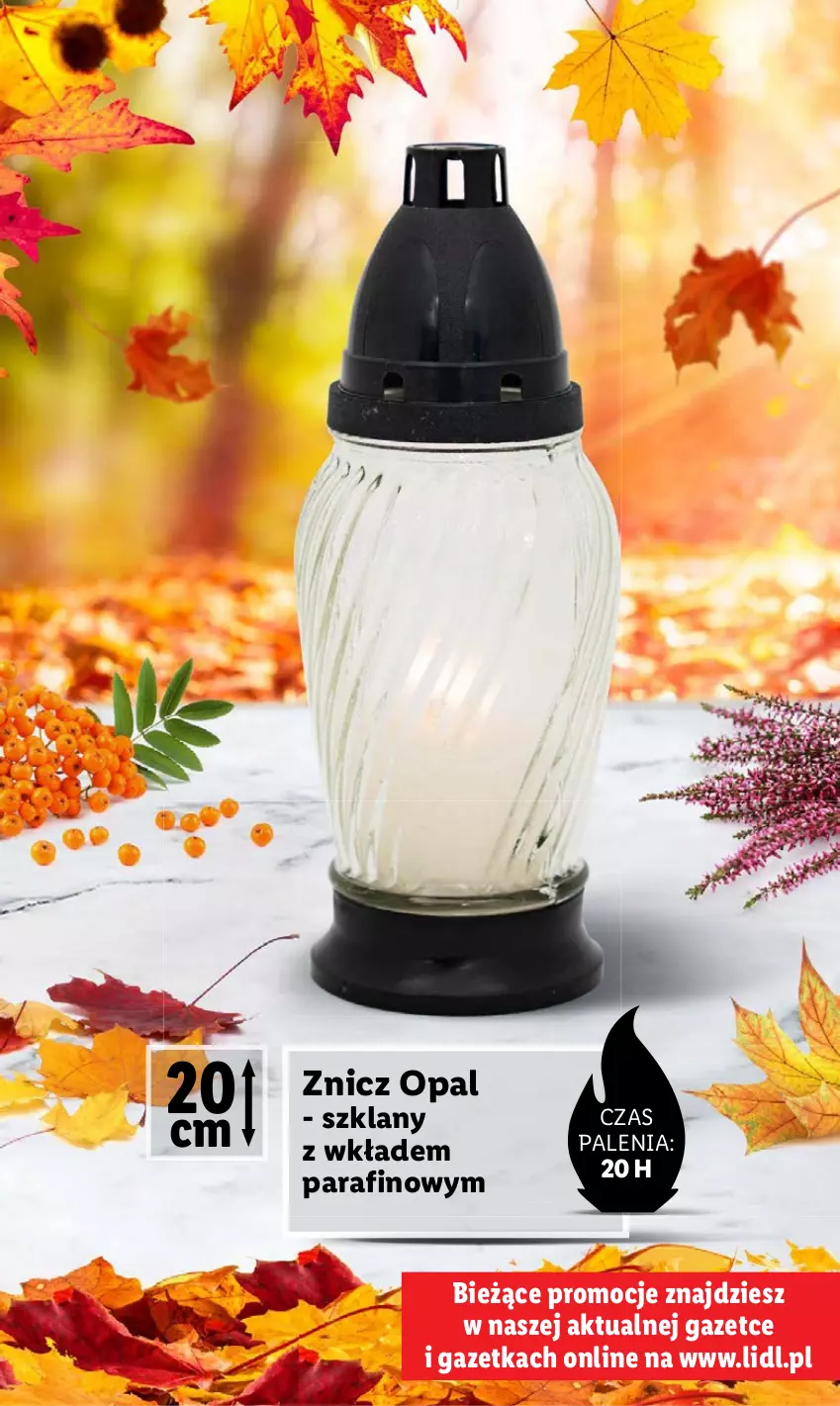 Gazetka promocyjna Lidl - KATALOG ZNICZE - ważna 02.10 do 31.10.2023 - strona 3 - produkty: Znicz