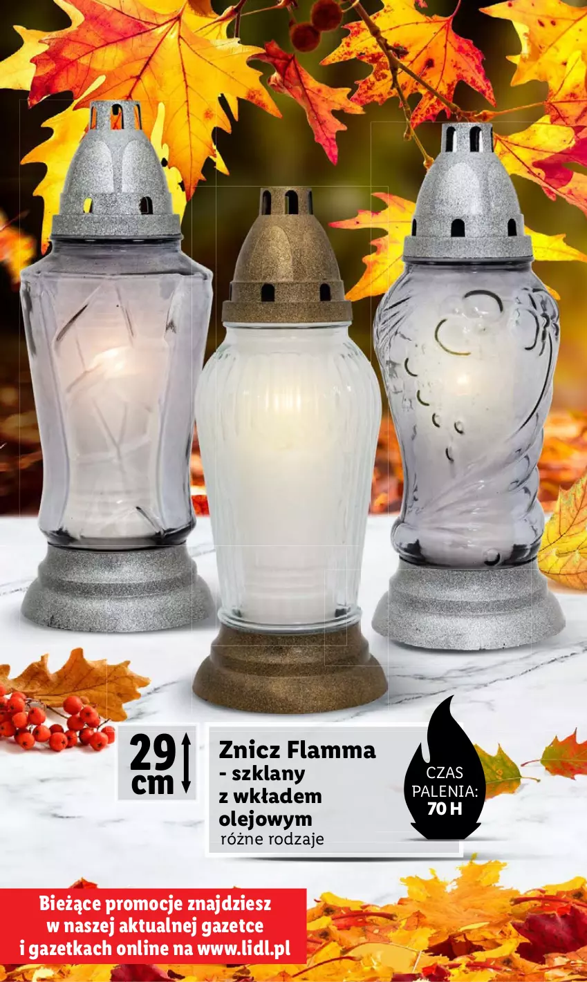 Gazetka promocyjna Lidl - KATALOG ZNICZE - ważna 02.10 do 31.10.2023 - strona 8 - produkty: Olej, Znicz