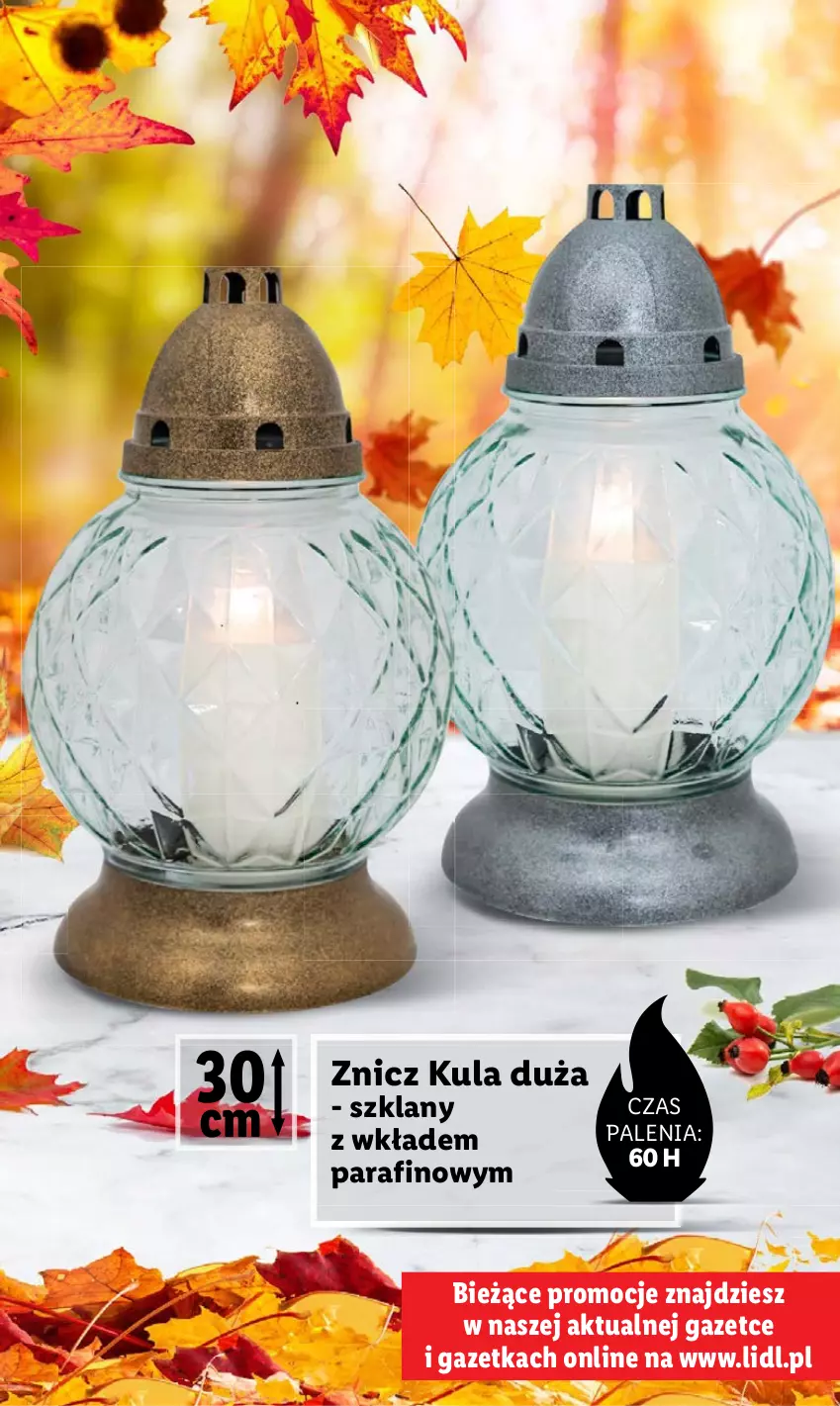 Gazetka promocyjna Lidl - KATALOG ZNICZE - ważna 02.10 do 31.10.2023 - strona 9 - produkty: Znicz