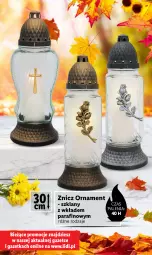 Gazetka promocyjna Lidl - KATALOG ZNICZE - Gazetka - ważna od 31.10 do 31.10.2023 - strona 10 - produkty: Znicz