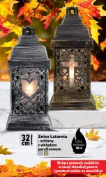 Gazetka promocyjna Lidl - KATALOG ZNICZE - Gazetka - ważna od 31.10 do 31.10.2023 - strona 11 - produkty: Latarnia, Znicz