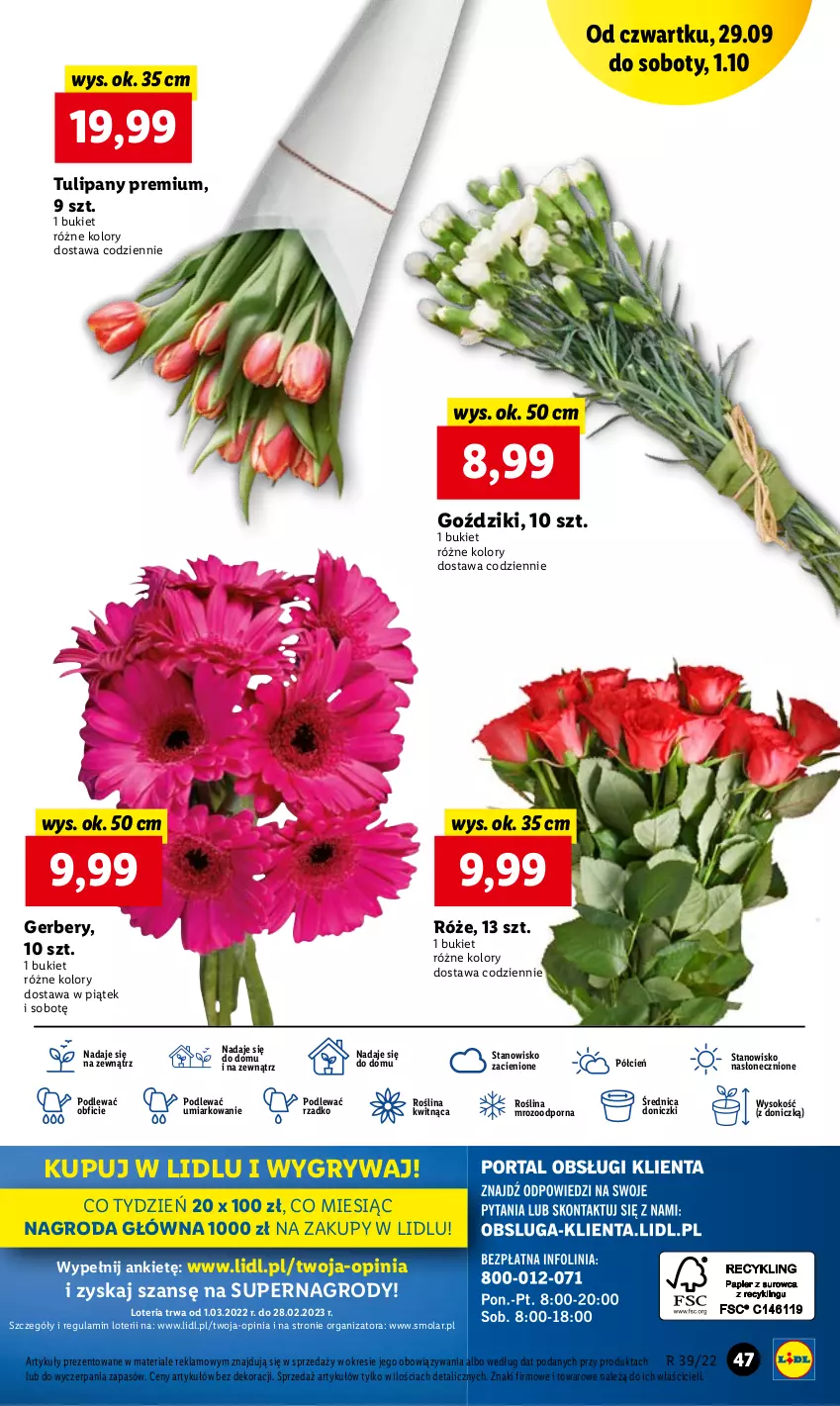 Gazetka promocyjna Lidl - GAZETKA - ważna 29.09 do 01.10.2022 - strona 47 - produkty: Bukiet, Cień, Gerber, Gry, Mola, O nas, Por, Sok, Tulipan