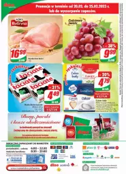 Gazetka promocyjna Dino - Gazetka - Gazetka - ważna od 28.02 do 28.02.2023 - strona 24 - produkty: Piwo, Ser, Cukier, Tera, Szynka, Fa