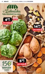 Gazetka promocyjna Netto - Netto Gazetka Food 40/24B - Gazetka - ważna od 09.10 do 09.10.2024 - strona 4 - produkty: Sałata lodowa, Sałat, Imbir
