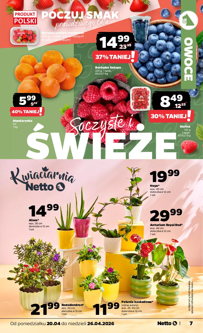 Gazetka promocyjna Netto - Od Poniedziałku - ważna 20.04 do 26.04.2026 - strona 7 - produkty: Borówka, Kask, Owoce, SEKO, Truskawki