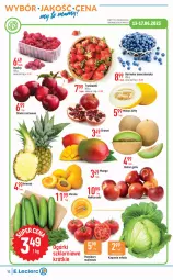 Gazetka promocyjna E Leclerc - Gazetka - ważna od 25.06 do 25.06.2023 - strona 16 - produkty: Borówka, Borówka amerykańska, Truskawki, Ananas, Pomidory