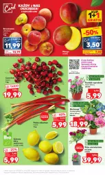 Gazetka promocyjna Kaufland - Mocny Start - Gazetka - ważna od 06.06 do 06.06.2023 - strona 7 - produkty: Gra, Róża, Cytryny, Brzoskwinie, Bukiet, Grunt, Mango