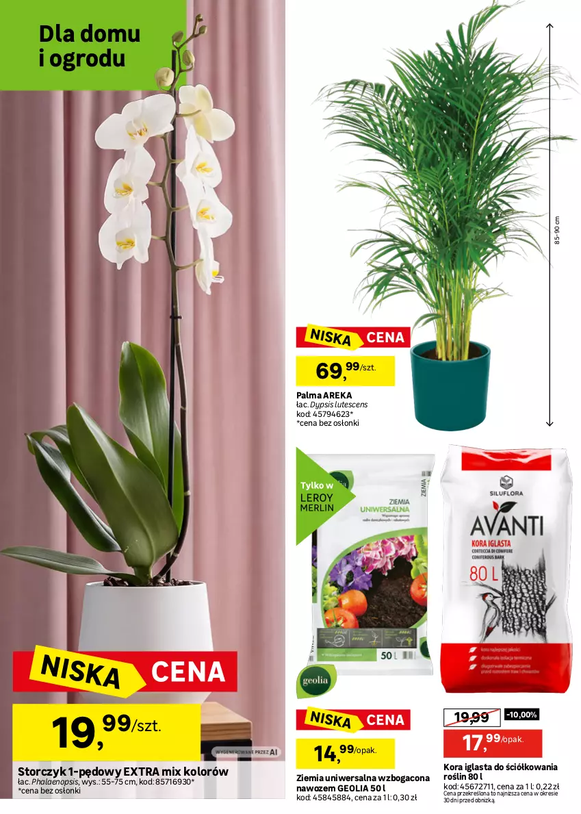 Gazetka promocyjna Leroy Merlin - Gazetka Leroy Merlin - ważna 30.09 do 20.10.2026 - strona 26 - produkty: Palma, Rama, Storczyk