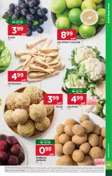Gazetka promocyjna Stokrotka - Supermarket - Gazetka - ważna od 21.10 do 21.10.2026 - strona 15 - produkty: Kalafior, Warzywa, Pietruszka, Ziemniaki, Optima, Owoce, Mięso, Grejpfrut