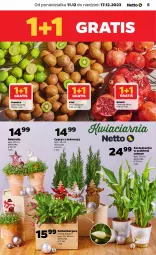 Gazetka promocyjna Netto - Artykuły spożywcze - Gazetka - ważna od 17.12 do 17.12.2023 - strona 5 - produkty: Gra, Granat, Chia, Kiwi, Limonka