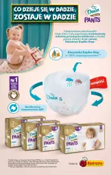 Gazetka promocyjna Biedronka - Od Czwartku - Gazetka - ważna od 20.11 do 20.11.2024 - strona 67 - produkty: Top, Pieluchy, Majtki, Dada, Dzieci, Pieluchomajtki, Fa