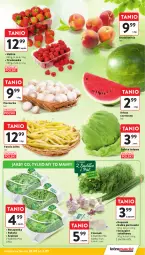 Gazetka promocyjna Intermarche - Gazetka promocyjna - Gazetka - ważna od 03.09 do 03.09.2025 - strona 17 - produkty: Piec, Roszponka, Sałata lodowa, Czosnek, Rukola, Siatka, Sałat, Fasola, Pieczarka, Natka pietruszki, Arbuz, Szpinak, Fa