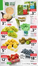 Gazetka promocyjna Intermarche - Gazetka - ważna od 28.02 do 28.02.2024 - strona 13 - produkty: Por, Borówka, Kiwi, Sałat, Wino, Masło, Szpinak