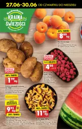 Gazetka promocyjna Biedronka - Od czwartku - Gazetka - ważna od 03.07 do 03.07.2024 - strona 16 - produkty: Ziemniaki