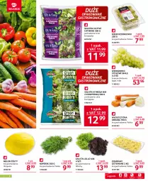 Gazetka promocyjna Selgros - Oferta gastronomiczna - Gazetka - ważna od 28.06 do 28.06.2023 - strona 2 - produkty: Sałatka, Ziemniaki, Sałat, Kiełki, Wino, Melon