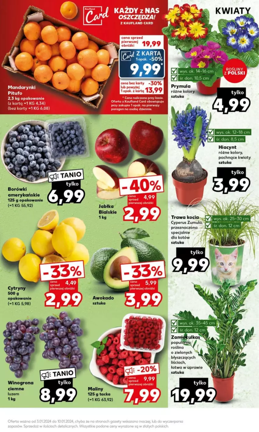 Gazetka promocyjna Kaufland - ważna 08.01 do 10.01.2024 - strona 3 - produkty: Hiacynt, Koc, Maliny