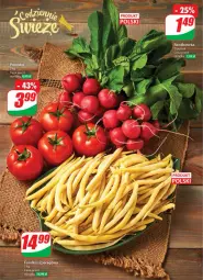 Gazetka promocyjna Dino - Gazetka 27 / 2024 - Gazetka - ważna od 09.07 do 09.07.2024 - strona 33 - produkty: Rzodkiewka, Fa