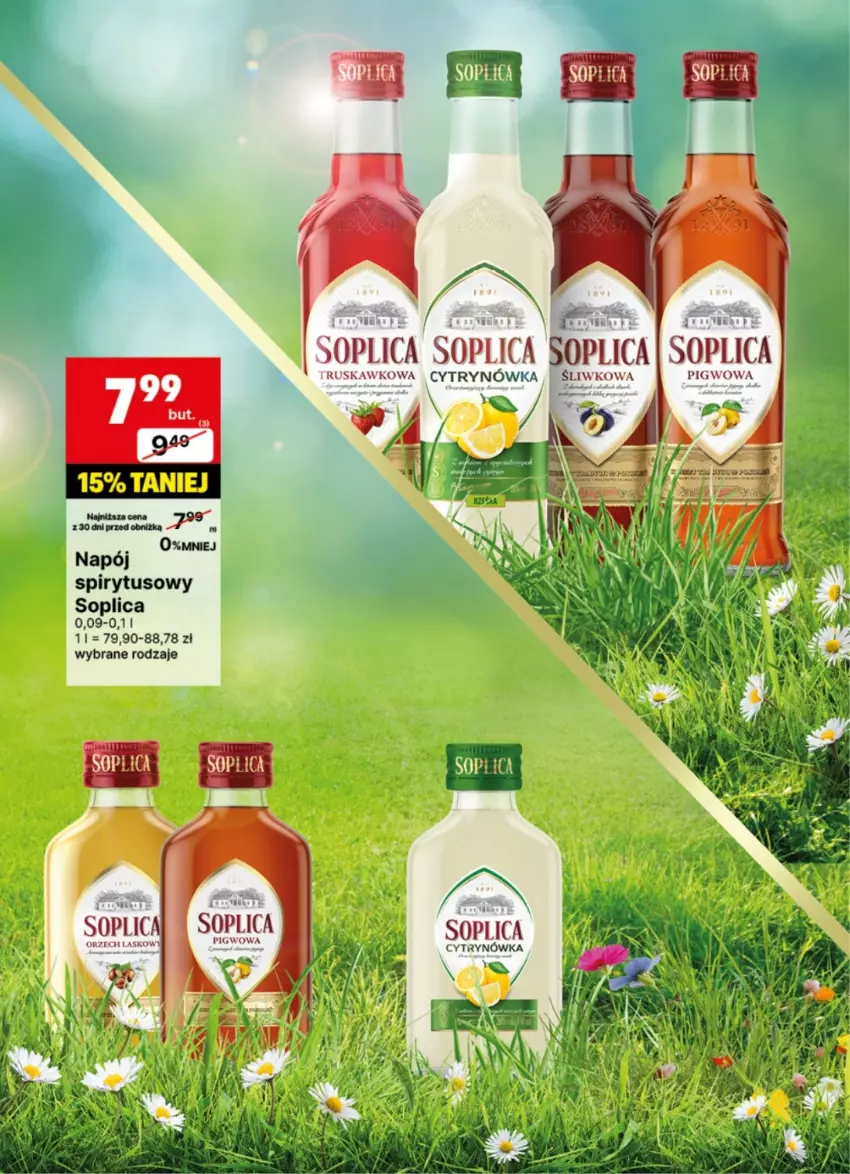 Gazetka promocyjna Delikatesy Centrum - DeliBarek DC20-DC21 - ważna 12.05 do 25.05.2025 - strona 9 - produkty: Soplica