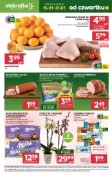 Gazetka promocyjna Stokrotka - Market - Gazetka - ważna od 21.01 do 21.01.2026 - strona 1 - produkty: Kurczak, Mandarynki, Warzywa, Sok, Szynka farmerska, Cukier, Duda, Szynka, Optima, Storczyk, Mleczko, Farm Milk, Czekolada, Owoce, Cukierki, Masło, Mięso, Milka, Fa