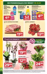 Gazetka promocyjna Stokrotka - Market - Gazetka - ważna od 21.01 do 21.01.2026 - strona 4 - produkty: Warzywa, Sok, Gra, Tulipan, Papryka czerwona, Papryka, Mlekovita, Optima, Storczyk, Napój izotoniczny, Boczek, Bukiet, Oshee, Owoce, Masło, Napój, Mięso, Boczek wieprzowy, Mleko