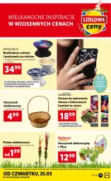 Gazetka promocyjna Lidl - GAZETKA - Gazetka - ważna od 28.03 do 28.03.2021 - strona 31 - produkty: Telefon, Kosz, Klej, Palma, Obraz